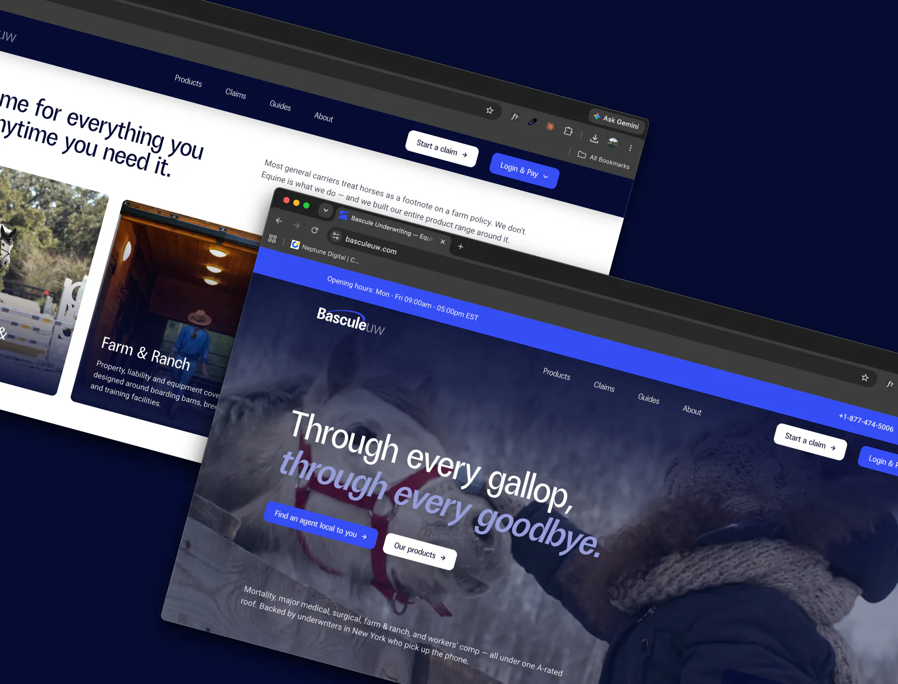 Bascule website screens