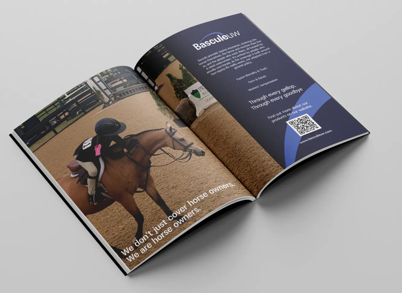 Bascule case study